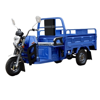 Hot Trending 1200w Open Body 3 Wheel Motorcycle Elektrische vracht driewieler voor vervoer