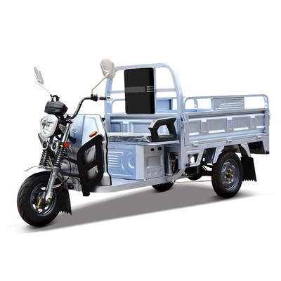 Hot Trending 1200w Open Body 3 Wheel Motorcycle Elektrische vracht driewieler voor vervoer