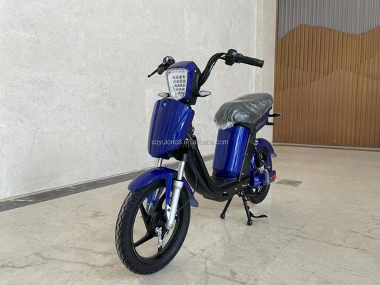 Op maat gemaakte LCD-scherm elektrische fiets met eenvoudige functionaliteit