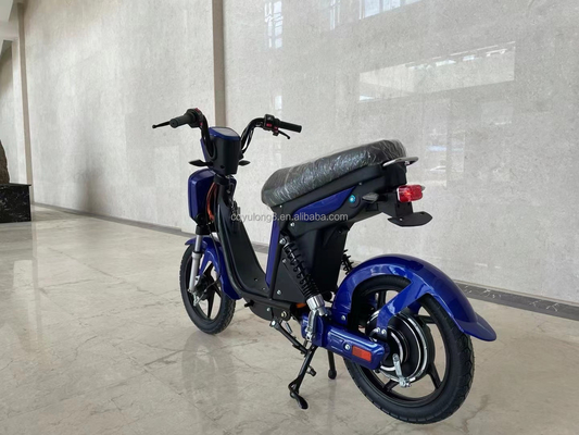 Op maat gemaakte LCD-scherm elektrische fiets met eenvoudige functionaliteit