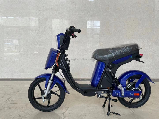Op maat gemaakte LCD-scherm elektrische fiets met eenvoudige functionaliteit