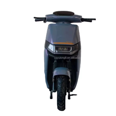 Snelheid 48V 2 wielen elektrische fiets voor stadsverkeer en kantoormedewerkers Maximale belasting 200kg