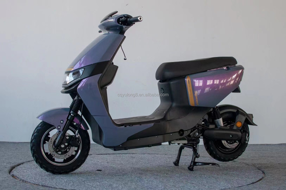 Snelheid 48V 2 wielen elektrische fiets voor stadsverkeer en kantoormedewerkers Maximale belasting 200kg
