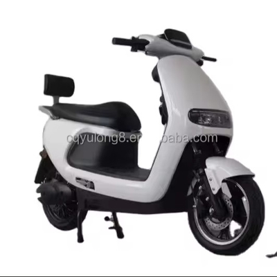 Ervaar de kracht en snelheid van onze 1500W/2000W elektrische vuilfiets voor volwassenen