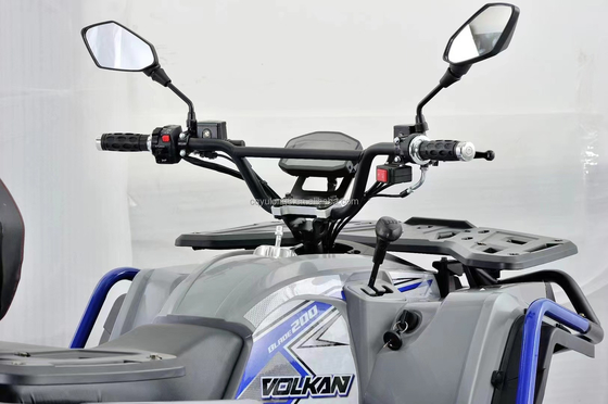 10 inch band maat 110cc of 125cc ATV's Vier wielen voor volwassenen bij maximale snelheid 50-75Km/h