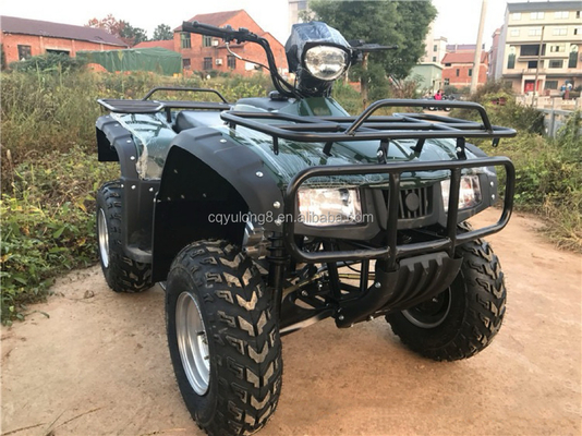 CE-gecertificeerde 200cc balansbalansmotor fiets ATV quad met 800W motor en 60V spanning