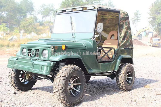300CC 4x4 UTV's gemaakt met voorplaat Achterplaat remsysteem