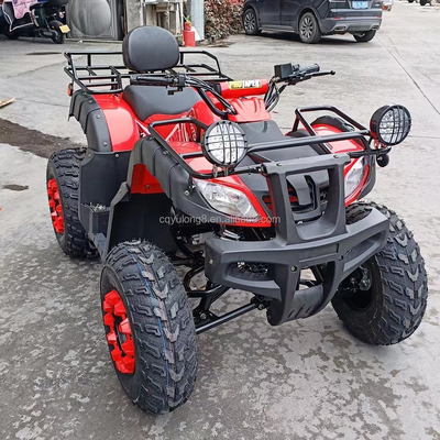 Electric Start 250cc Quad Bike met 500W motor en as aangedreven terreinontwerp