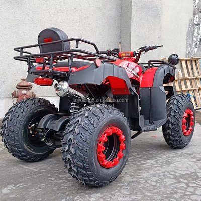 Electric Start 250cc Quad Bike met 500W motor en as aangedreven terreinontwerp