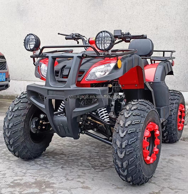 Electric Start 250cc Quad Bike met 500W motor en as aangedreven terreinontwerp