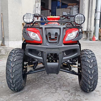 Electric Start 250cc Quad Bike met 500W motor en as aangedreven terreinontwerp