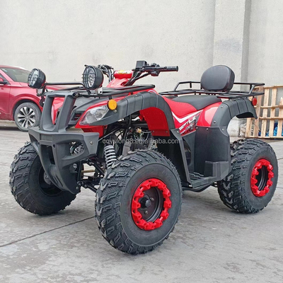Electric Start 250cc Quad Bike met 500W motor en as aangedreven terreinontwerp