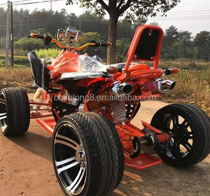 Hot Product 200cc ATV met continu veranderlijke motor en maximale snelheid van 50-75 km/u