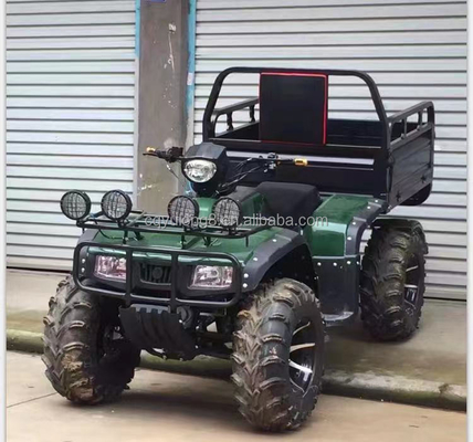 Offroad 250cc Farm Quad Bike met automatische transmissie en 60V batterij