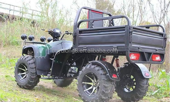 Offroad 250cc Farm Quad Bike met automatische transmissie en 60V batterij