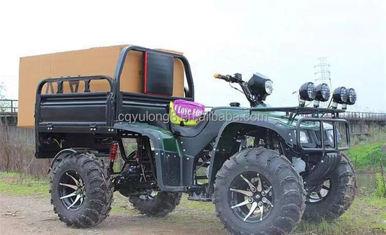 Offroad 250cc Farm Quad Bike met automatische transmissie en 60V batterij