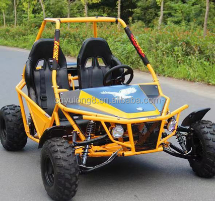 Ervaar de kracht en prestaties van deze 4-takt 2-zits off-road Dune Buggy