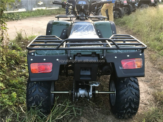 4x4 Buggy Motor ATV UTV 200cc voor volwassenen Automatische Transmissie Type Maximale snelheid 80 km/h