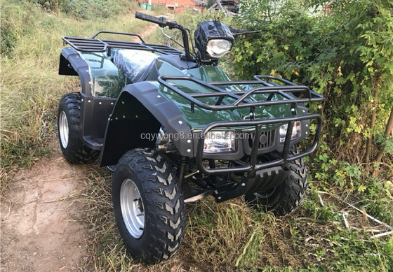 4x4 Buggy Motor ATV UTV 200cc voor volwassenen Automatische Transmissie Type Maximale snelheid 80 km/h