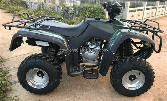 4x4 Buggy Motor ATV UTV 200cc voor volwassenen Automatische Transmissie Type Maximale snelheid 80 km/h