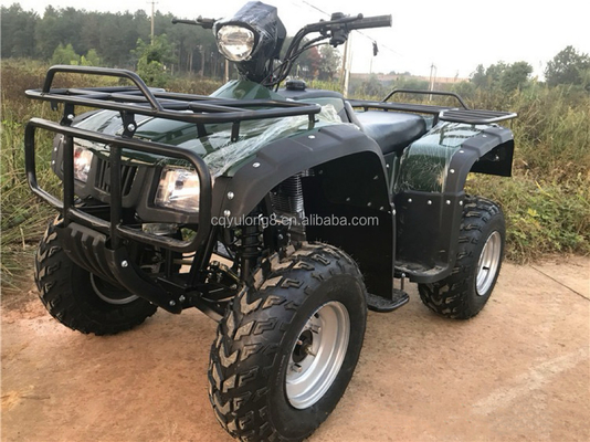4x4 Buggy Motor ATV UTV 200cc voor volwassenen Automatische Transmissie Type Maximale snelheid 80 km/h