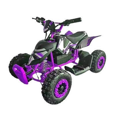 Ontdek de opwinding van onze Mini Quad Buggy ATV 500W Electric ATV voor kinderen en volwassenen