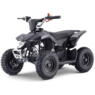 500W elektrisch ATV driewiel motorfiets voor- en achterschijfremsystemen voor passagiers