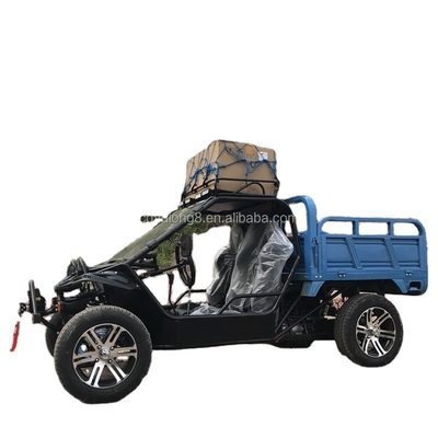 250cc ATV Go Kart 4x4 Quad Bike Buggy UTV 250CC voor volwassenen 12V Spanning en aanpasbaar