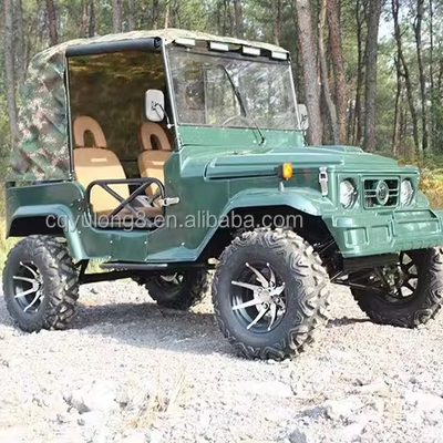 300CC 4x4 UTV's Gas UTV 2 zitplaatsen UTV Buggy Quad fiets voor volwassenen Maximale snelheid 50-75Km/h