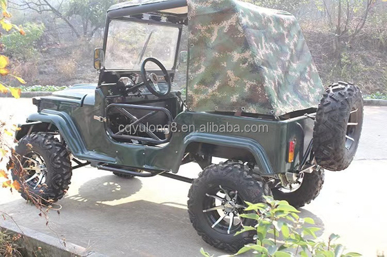 300CC 4x4 UTV's Gas UTV 2 zitplaatsen UTV Buggy Quad fiets voor volwassenen Maximale snelheid 50-75Km/h