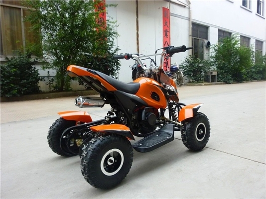 4x4 2WD/4WD All-Terrain Vehicles Quad ATV voor kinderen Volwassenen 49cc 200cc 300cc Shaft Drive Bike