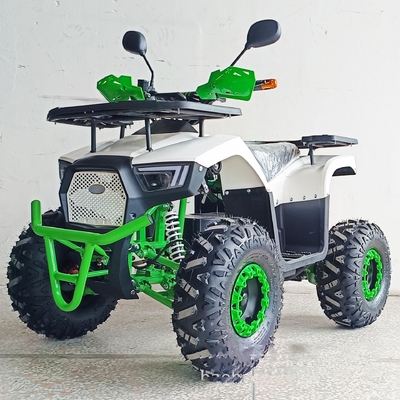 36V Mini Electric ATV Outdoor Quad voor kinderen en volwassenen 800W Shaft Drive Off-Road Bike
