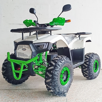 36V Mini Electric ATV Outdoor Quad voor kinderen en volwassenen 800W Shaft Drive Off-Road Bike