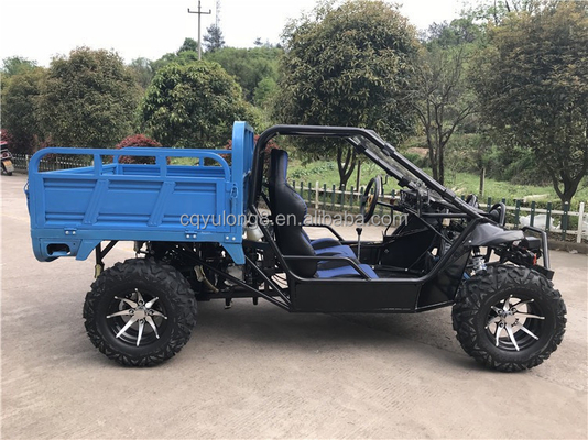 Hot Item 250CC Side-by-Side UTV voor volwassenen voorste schijf Achterste schijfremsystemen