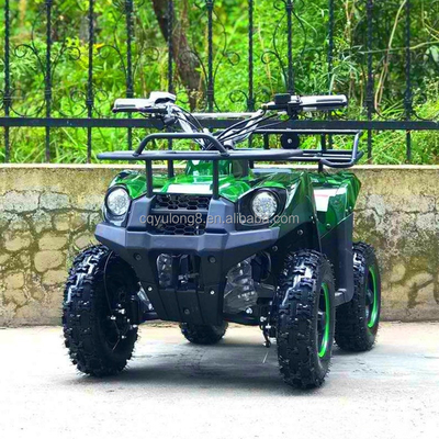 500-800W Shaft Drive Motor Electric Mini ATV Buggy 4 Wheel Quad Bike voor kinderen en volwassenen