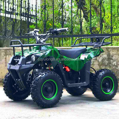 500-800W Shaft Drive Motor Electric Mini ATV Buggy 4 Wheel Quad Bike voor kinderen en volwassenen