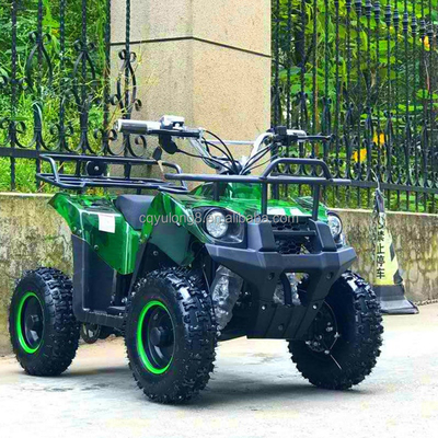 500-800W Shaft Drive Motor Electric Mini ATV Buggy 4 Wheel Quad Bike voor kinderen en volwassenen