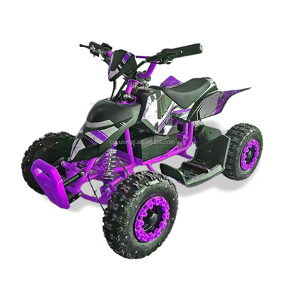 Maximale snelheid 50km/h Elektrisch ATV 36V 500W 800W Buggy Quad ATV voor kinderen Volwassenen Off Road