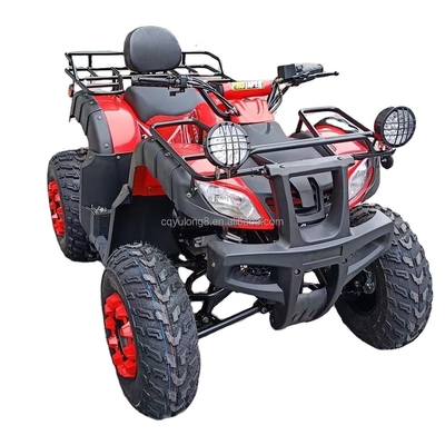150-200mm Ground Clearance 200cc 250cc Quad Bike Buggy UTV voor alle terrein avonturen