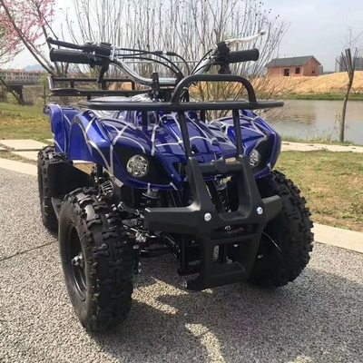 Verkoop 49cc 125cc 200cc ATV 4x4 All Terrain Vehicles Quad Bike Wielbasis 1000-1400mm