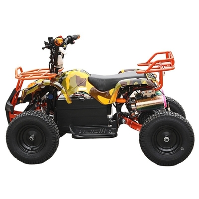 Elektrische ATV 800W 1000w Quad Bike voor kinderen en volwassenen Rijkmage 30-50km Spanning 36V