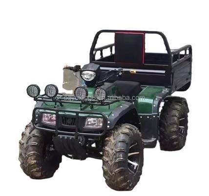 Off-road vierwielige motorfiets vracht ATV UTV met en laadvermogen van 100-200 kg