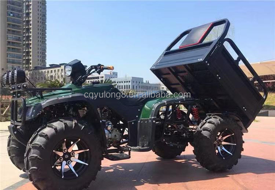 Off-road vierwielige motorfiets vracht ATV UTV met en laadvermogen van 100-200 kg