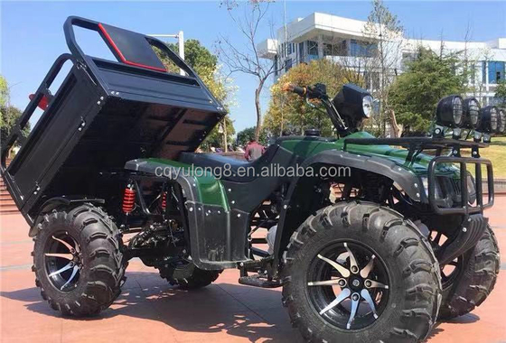 Off-road vierwielige motorfiets vracht ATV UTV met en laadvermogen van 100-200 kg