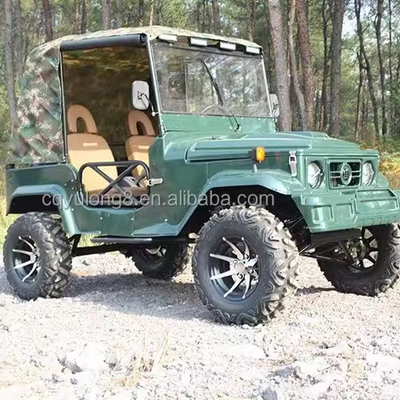 300CC 4 wielen UTV's Gas 2 zitplaatsen UTV 4x4 Buggy auto moto Quad bike off road voertuig 4x4 ATV voor volwassenen
