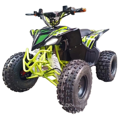 Warm 750w 1000w Elektrische Moto Buggy Car voor Kinderen en Volwassenen 60v 4x4 Quad Side by Sides