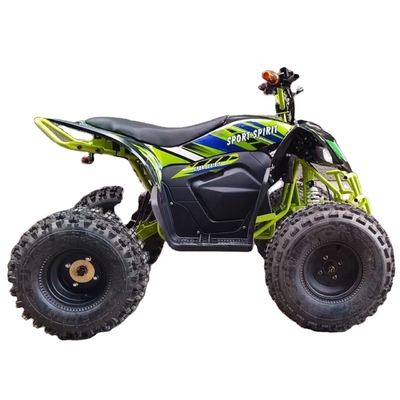 Warm 750w 1000w Elektrische Moto Buggy Car voor Kinderen en Volwassenen 60v 4x4 Quad Side by Sides