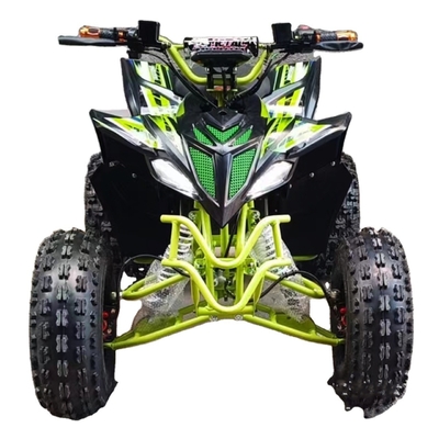 Warm 750w 1000w Elektrische Moto Buggy Car voor Kinderen en Volwassenen 60v 4x4 Quad Side by Sides