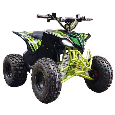 Warm 750w 1000w Elektrische Moto Buggy Car voor Kinderen en Volwassenen 60v 4x4 Quad Side by Sides