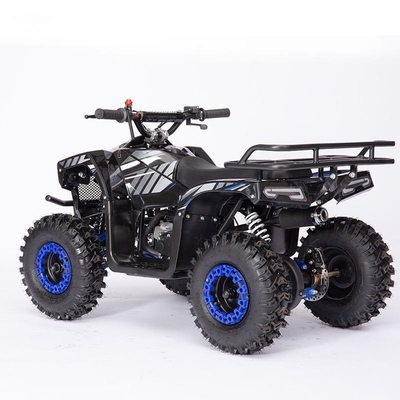 Fuel Electric Mini ATV 49cc Ketenmotor Power 2WD Drive voor Kinderavontuur